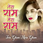 Tera Gam Mera Gam - Chhote Majid Shola Song Download